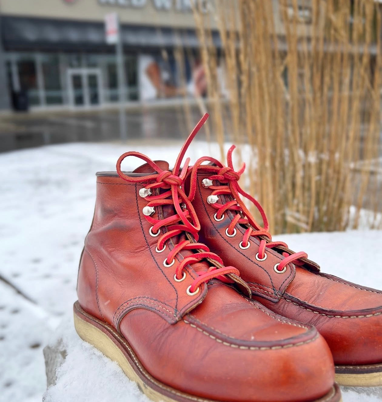 Red Blossom Leather Laces - Akahana (赤花) – Fade Dept.